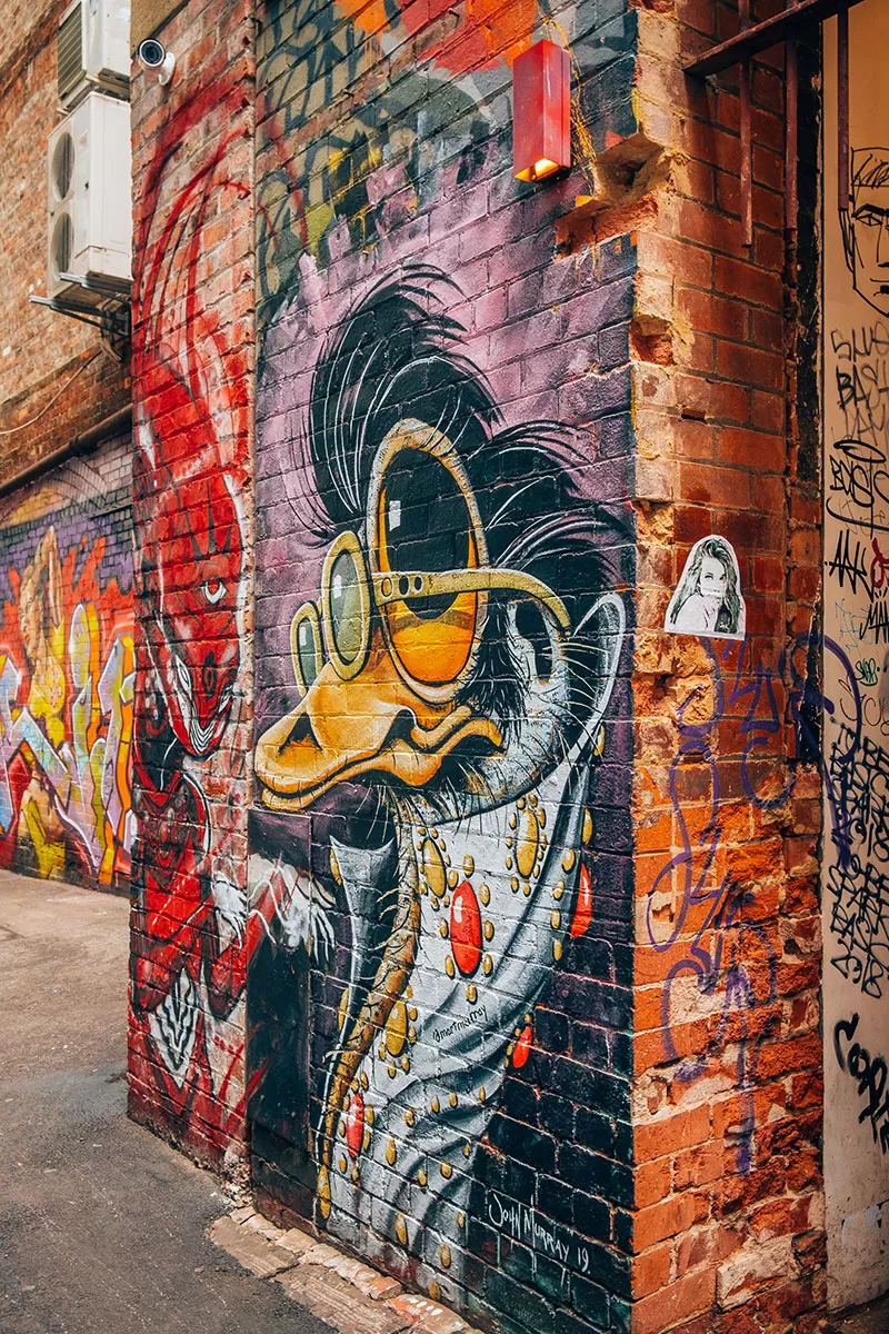 Melbourne Street Art Map - Duckboard Place Graffiti - Emu with glasses mural