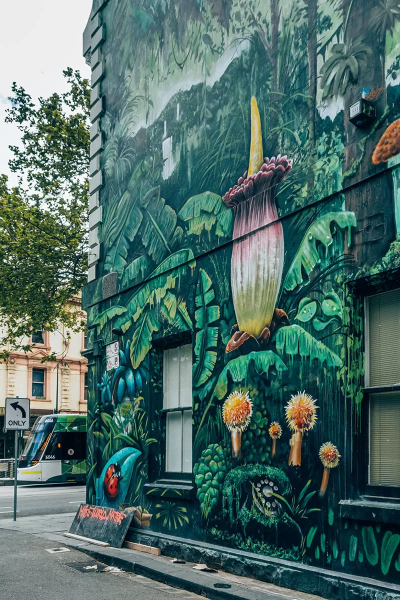 Melbourne Street Art Map - Meyers Place - Jungle Funk Mural and tram