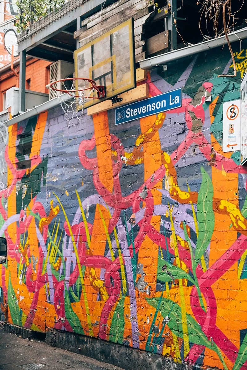 Melbourne Street Art Map - Stevenson Lane - Nelson Cekis Mural