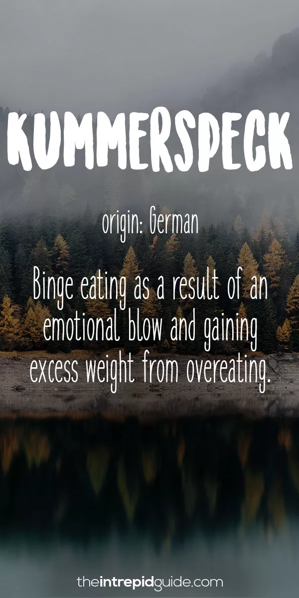 Beautiful Untranslatable Words - German - Kummerspeck