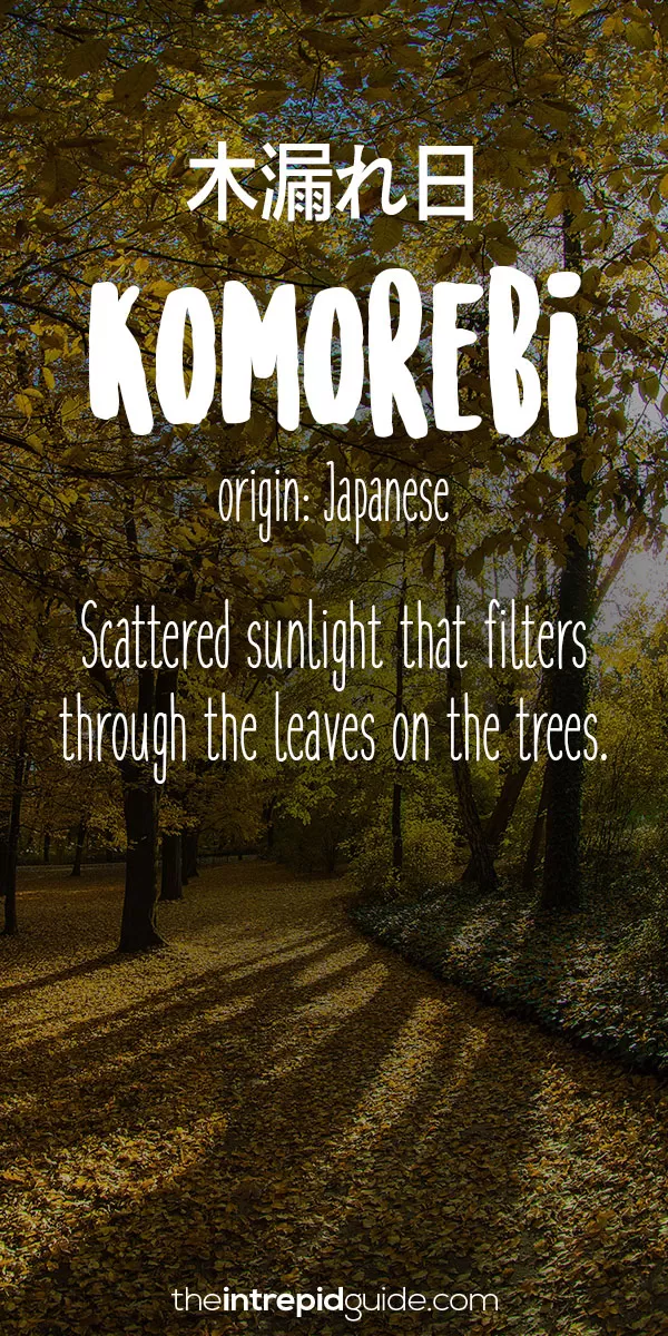 Beautiful Untranslatable Words - Japanese - Komorebi