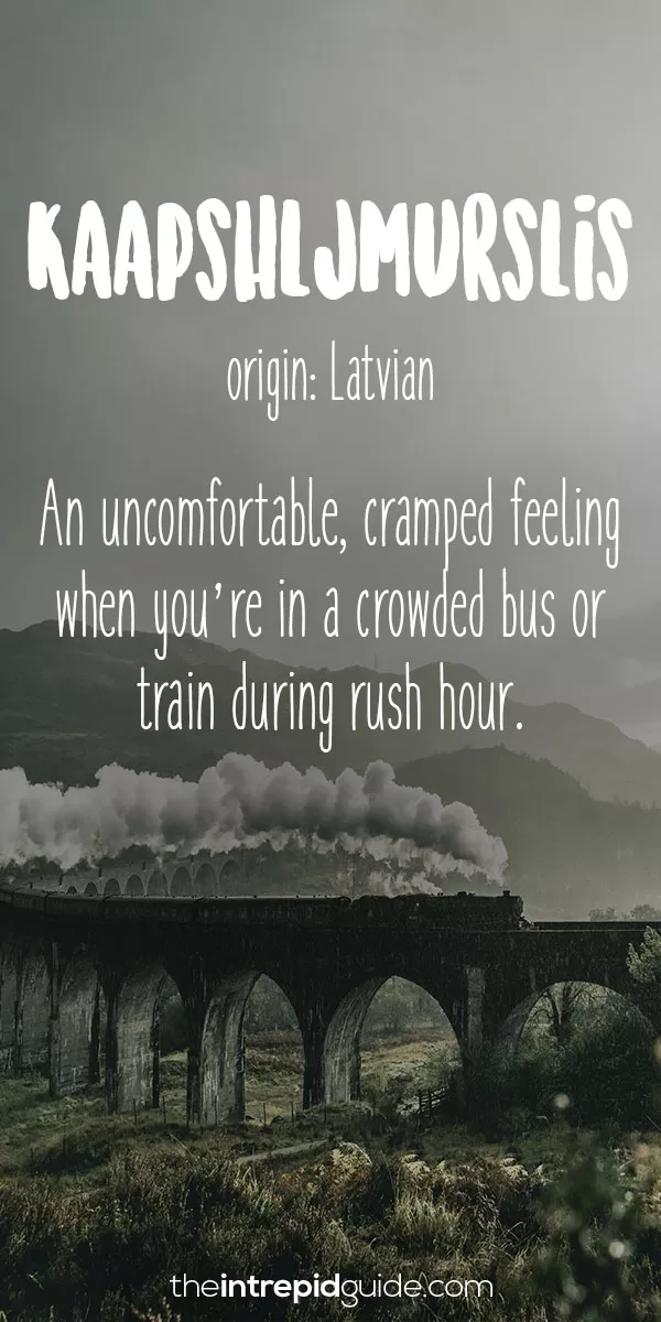 Beautiful Untranslatable Words - Latvian - Kaapshljmurslis