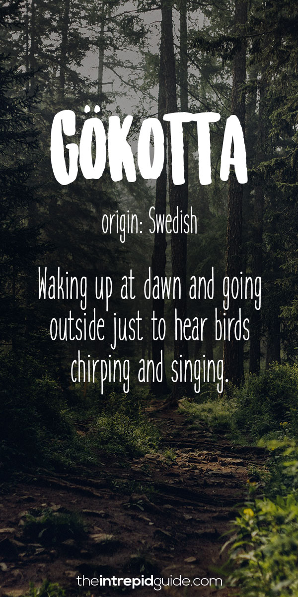Beautiful Untranslatable Words - Swedish - Gokotta