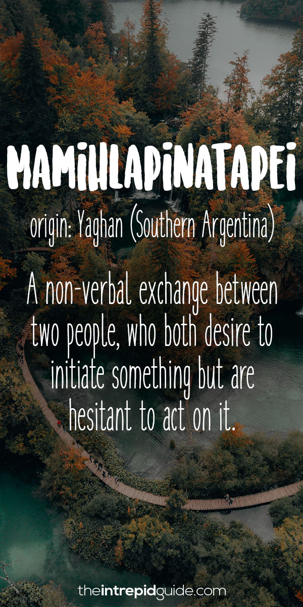 Beautiful Untranslatable Words - Yaghan - Mamihlapinatapei