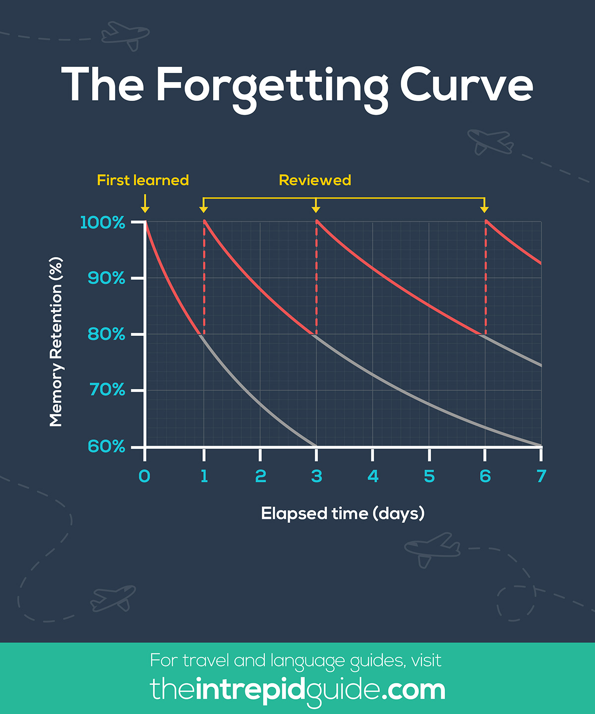 How to Memorize Vocabulary Tips - The Forgetting Curve by Ebbinghaus