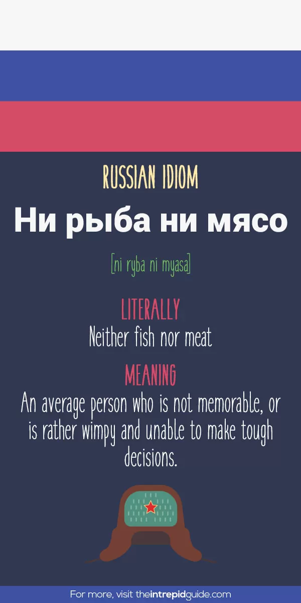 Russian Idioms - neither fish nor meat
