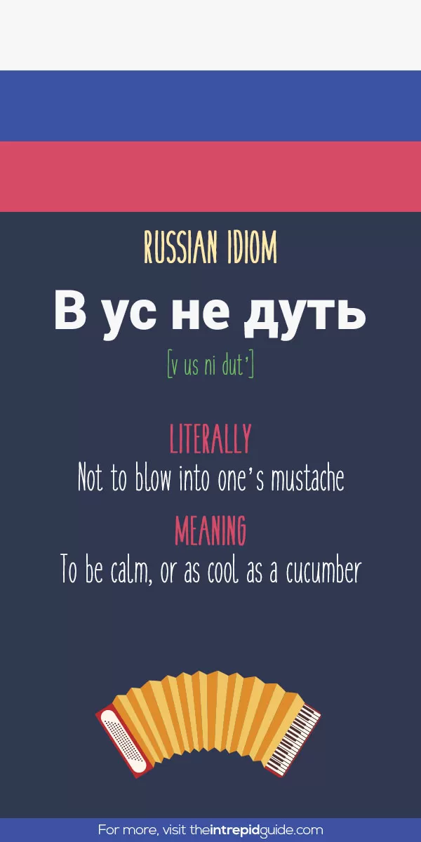 Russian Idioms - not to blow into one’s mustache