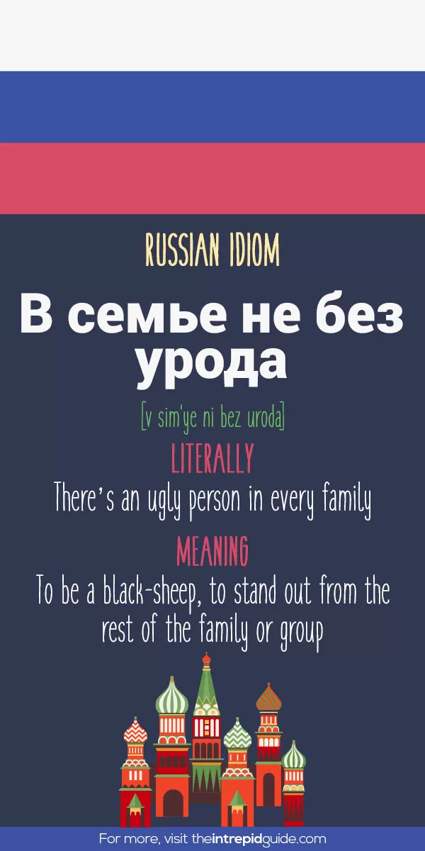 Russian Idioms - there’s an ugly person in every family