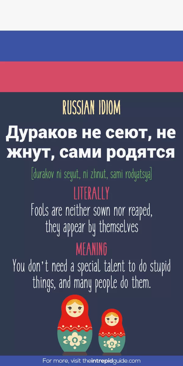 Russian Idioms - fools are neither sown nor reaped, they appear by themselves