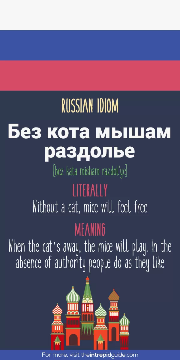 ロシア語慣用句集「Russian Idioms Illustrated」1981 ロシア語慣用句集「Russian Idioms Illustrated」1981 ロシア語