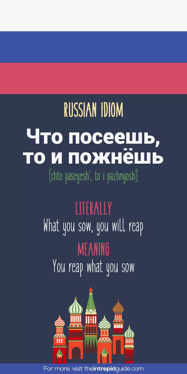 51 Hilarious Russian Idioms That Will Make You Giggle - The Intrepid Guide