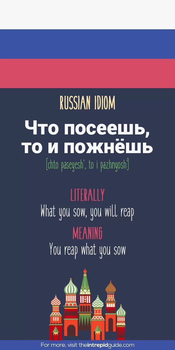 Russian Idioms - what you sow, you will reap