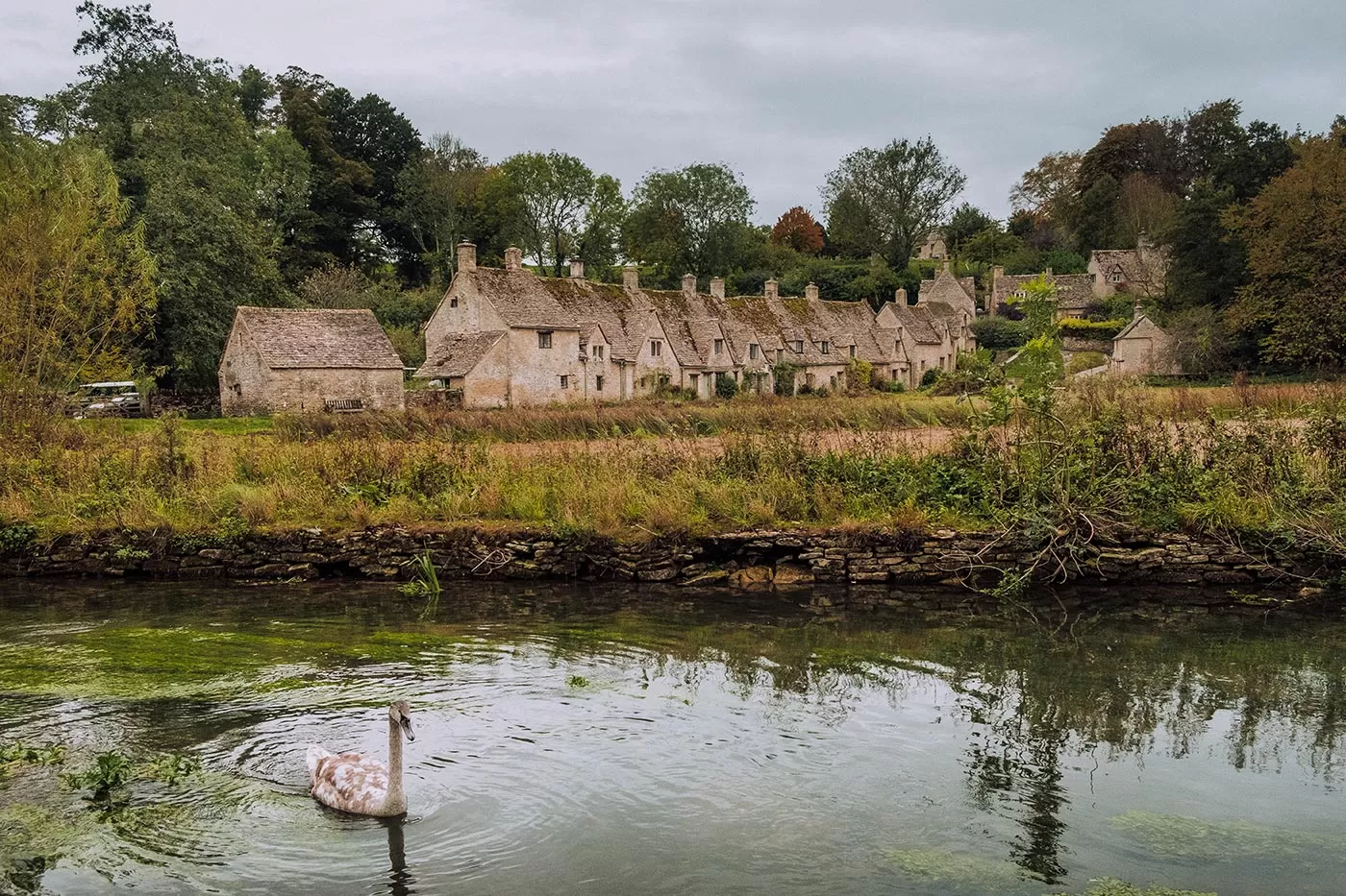 Cotswolds Best Villages - Bibury - Arlington Row cottages and swan in stream