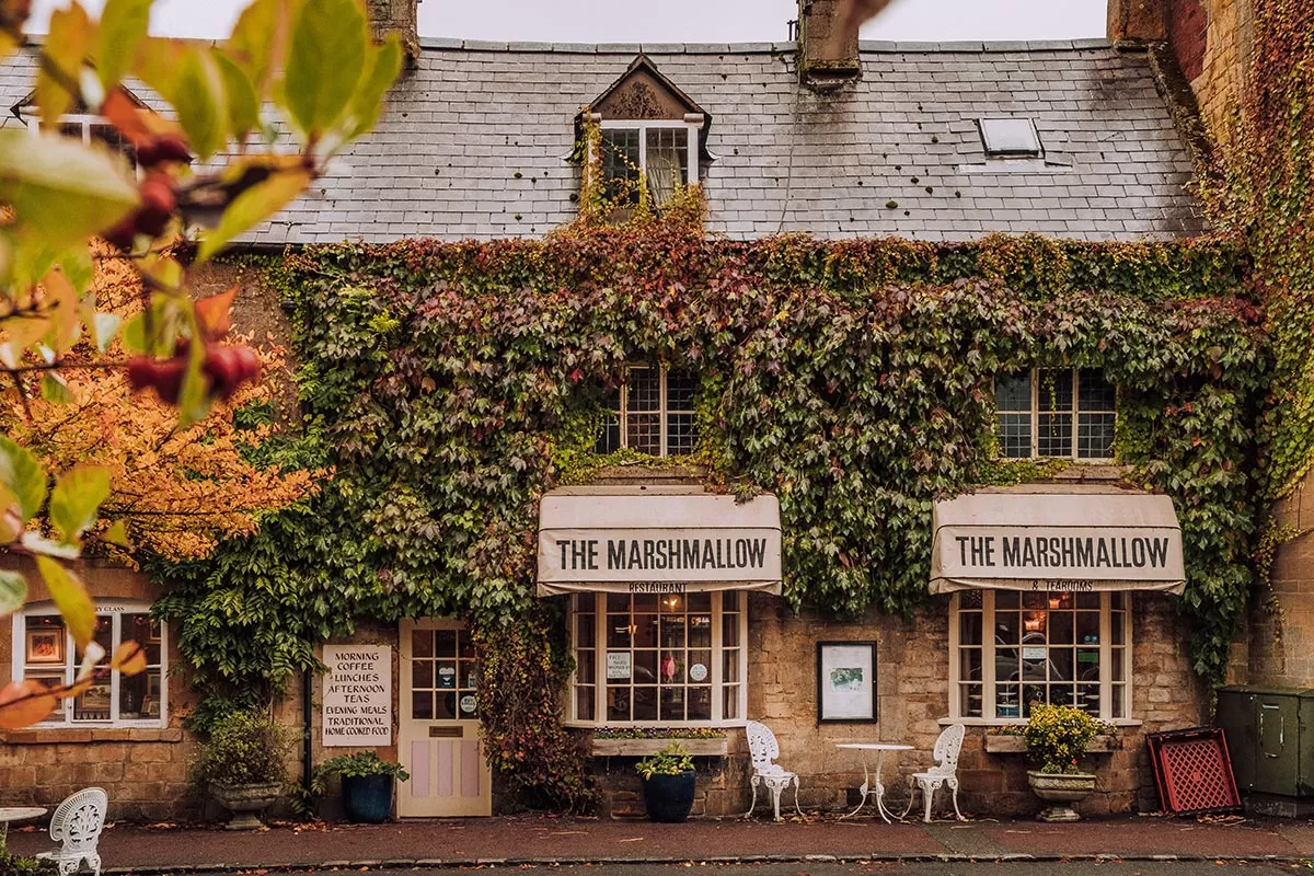 Cotswolds Best Villages - Moreton-in-Marsh - The Marshmellow covered in autumn coloured leaves