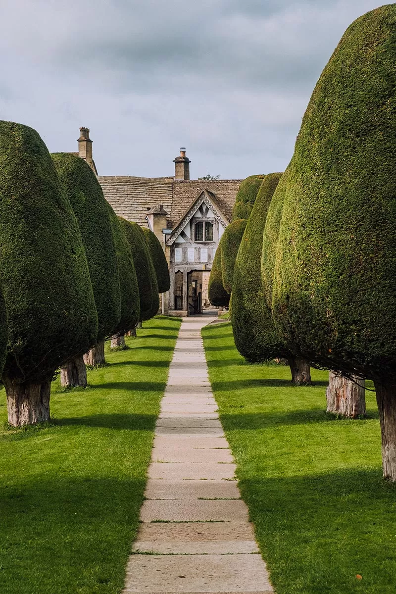 Cotswolds Best Villages - Painswick - Yew trees at St Marys Church