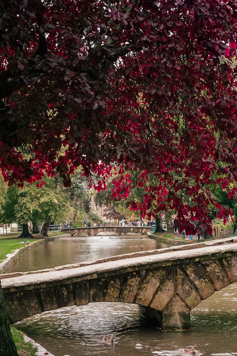 Things to do in Bourton-on-the-Water - The Cotswolds - Bridge over the River Windrush