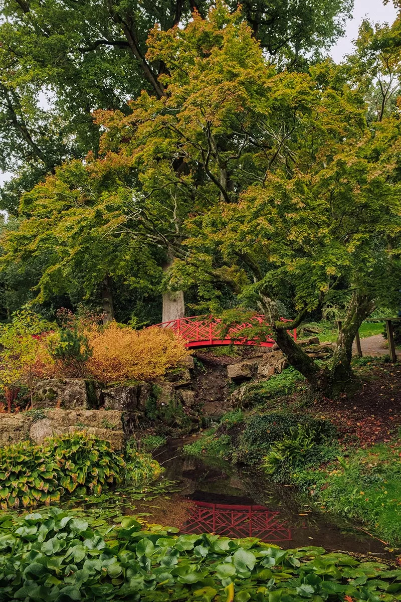 Things to do in Moreton-in-Marsh - The Cotswolds - The Batsford Arboretum - Red Bridge over small pond
