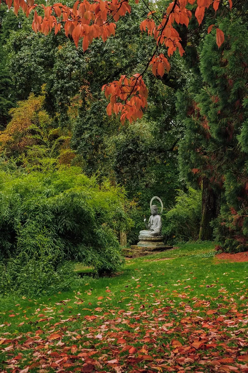 Things to do in Moreton-in-Marsh - The Cotswolds - The Batsford Arboretum - Statue of Buddha