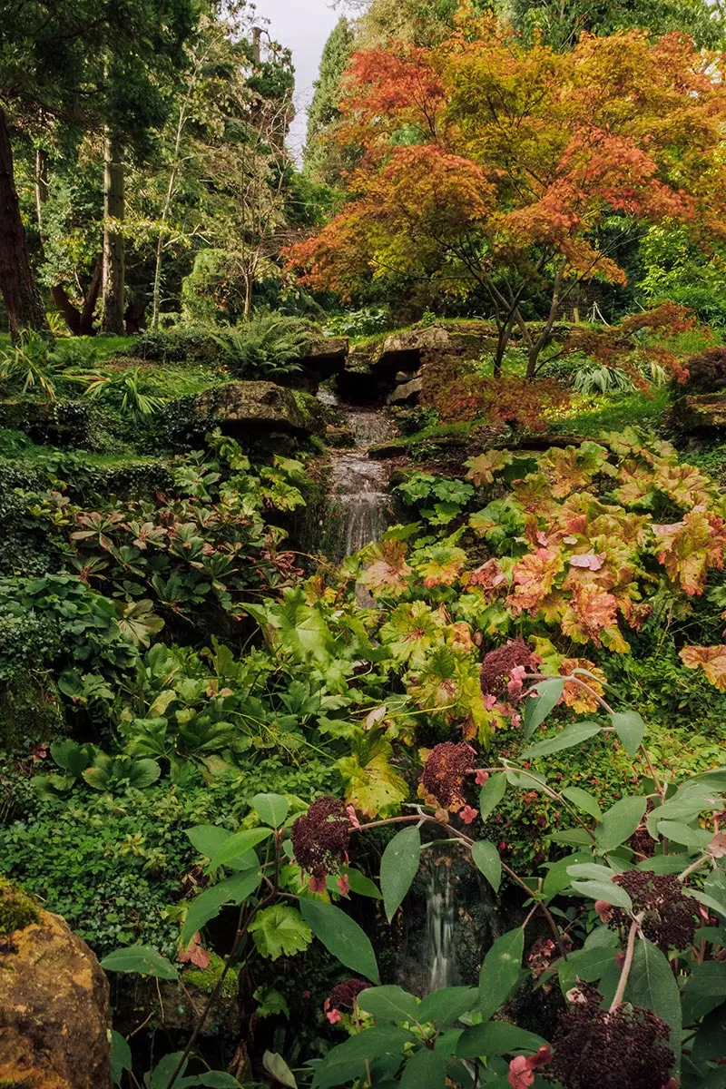 Things to do in Moreton-in-Marsh - The Cotswolds - The Batsford Arboretum waterfall
