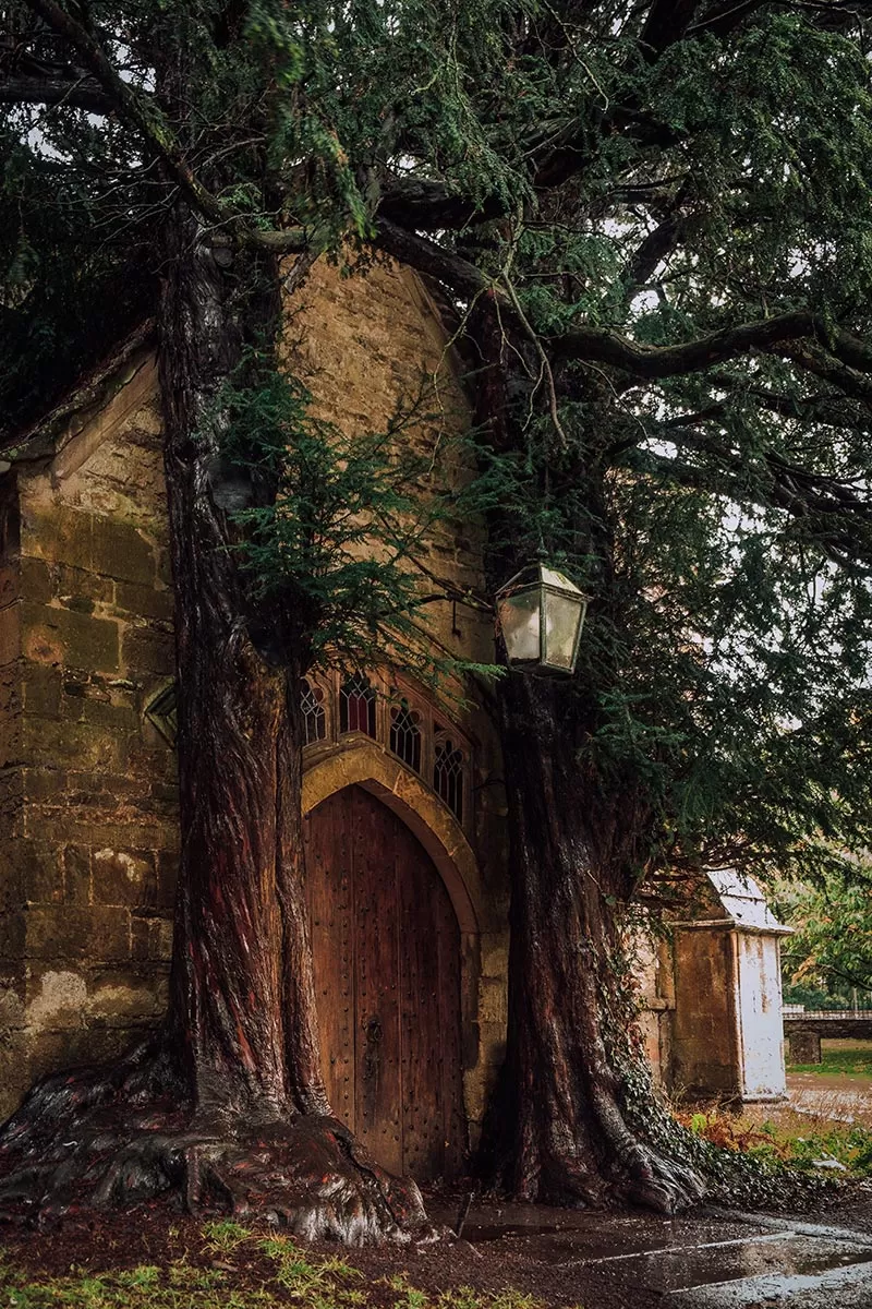 Things to do in Stow-on-the-Wold - Door flanked by 2 yew trees at St. Edward's Church