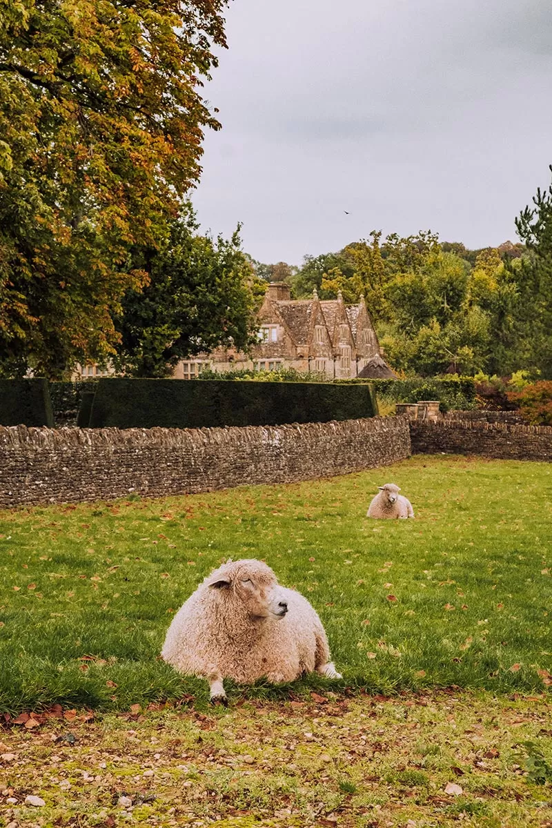 Top things to do in Upper Slaughter -The Cotswolds - Lords of the Manor Hotel and sheep