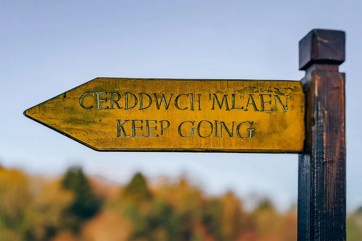 Essential Welsh Phrases for Travel - Welsh Sign - Cerddwch mlaen