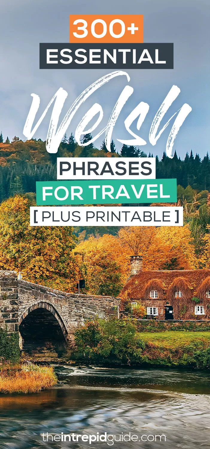 Essential Welsh Phrases for Travel with Printable