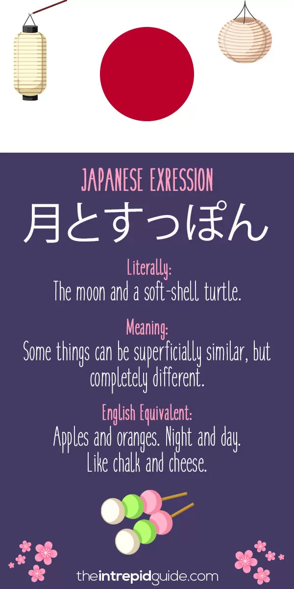 Japanese Idioms - Apples and oranges. Night and day. Like chalk and cheese