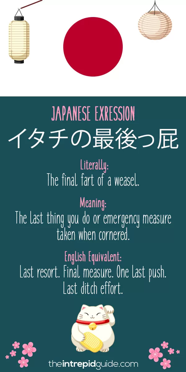69 Wonderful Japanese Idioms That Will Brighten Your Day The Intrepid Guide