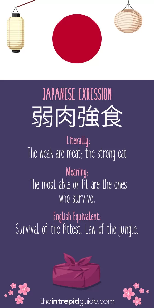 Japanese Idioms - Survival of the fittest. Law of the jungle