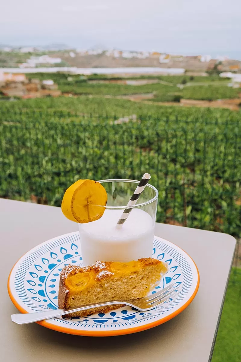 Things to do in Gran Canaria Spain - Eat banana cake and banana smoothie at Hacienda La ReKompensa