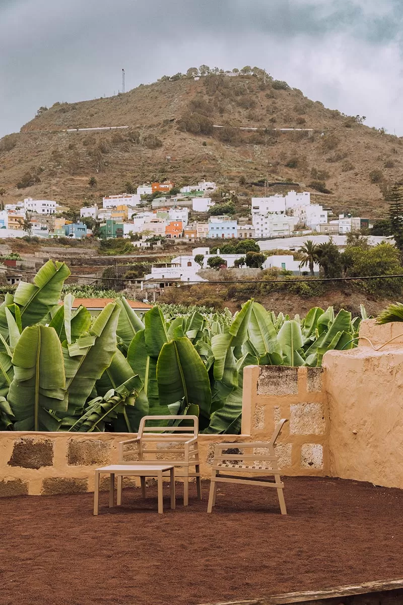 Things to do in Gran Canaria Spain - Hacienda La ReKompensa banana plantation