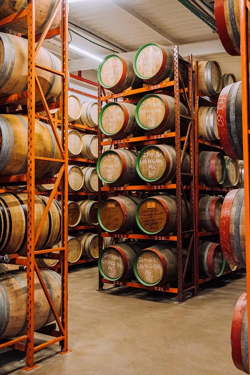 Things to do in Gran Canaria Spain - Rum barrels at Arehucas Rum Distillery