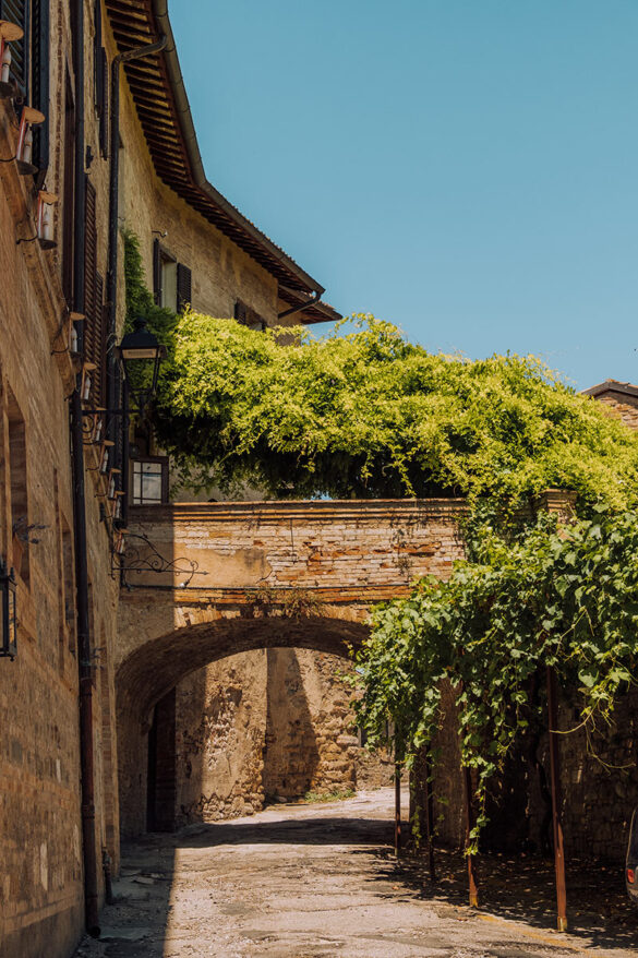 Things to do in Umbria Italy – Bevagna – Archway covered in greenery Things to do in Umbria Italy - Bevagna - Archway covered in greenery
