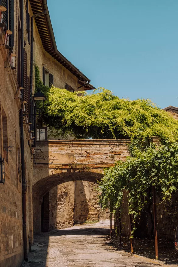 Things to do in Umbria Italy - Bevagna - Archway covered in greenery