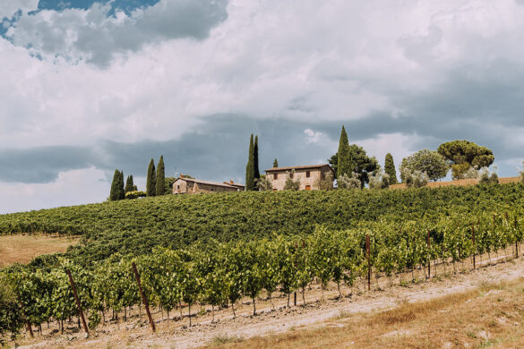 Things to do in Umbria Italy – Decugnano dei Barbi – Villa Barbi Things to do in Umbria Italy - Decugnano dei Barbi - Villa Barbi