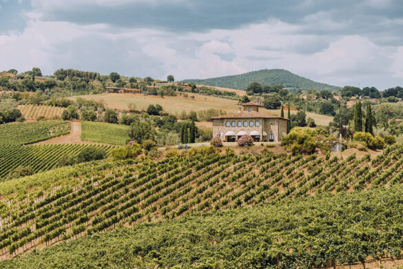Things to do in Umbria Italy – Decugnano dei Barbi Villa and vineyard on hill Things to do in Umbria Italy - Decugnano dei Barbi Villa and vineyard on hill