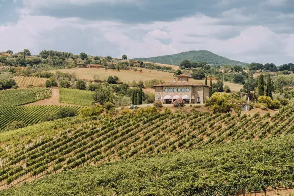 Things to do in Umbria Italy - Decugnano dei Barbi Villa and vineyard on hill