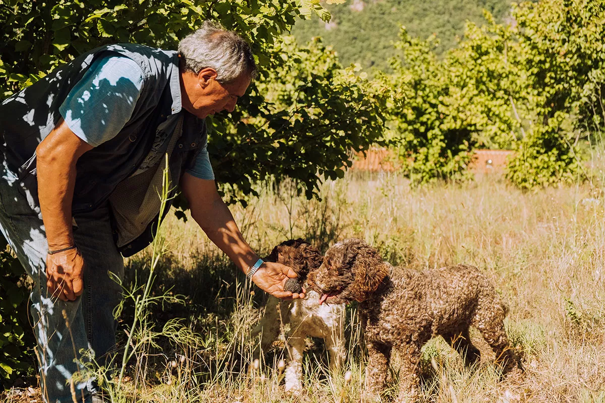 Things to do in Umbria Italy - Piermarini Truffle hunting with dogs