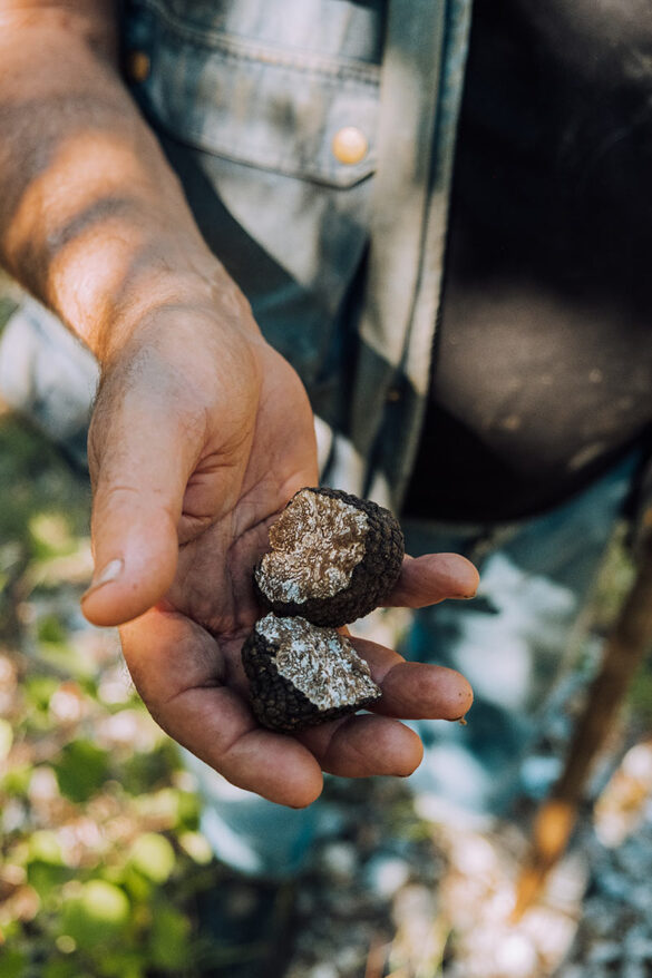 Things to do in Umbria Italy – Piermarini Truffles Things to do in Umbria Italy - Piermarini Truffles