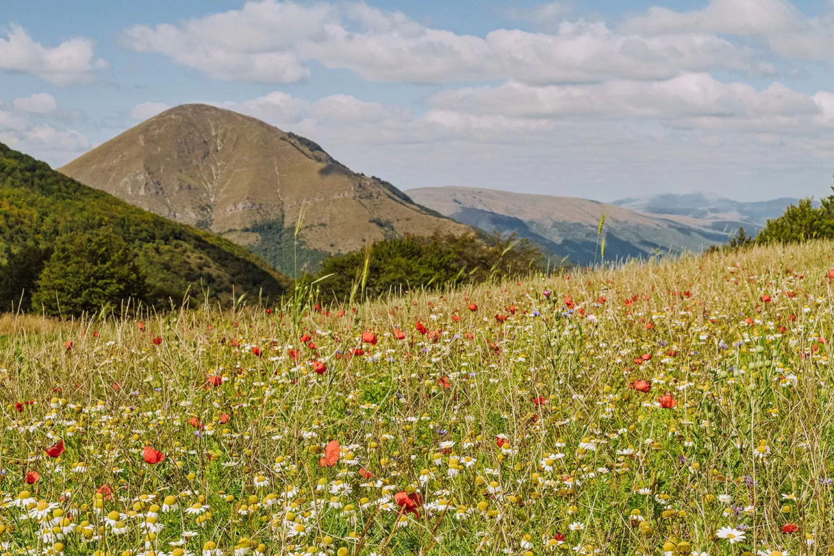 Things to do in Umbria Italy - Sibillini mountains