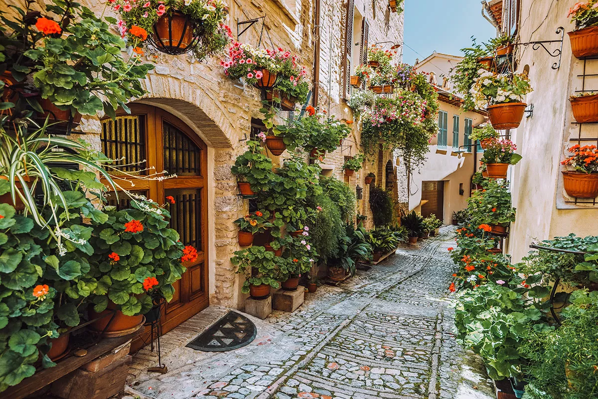 Things to do in Umbria Italy - Spello - Plants and flowers in narrow street