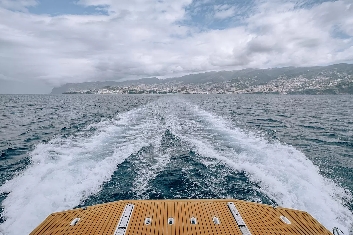 Things to do in Funchal Madeira - Dolphin cruise - View of Madeira from catamaran