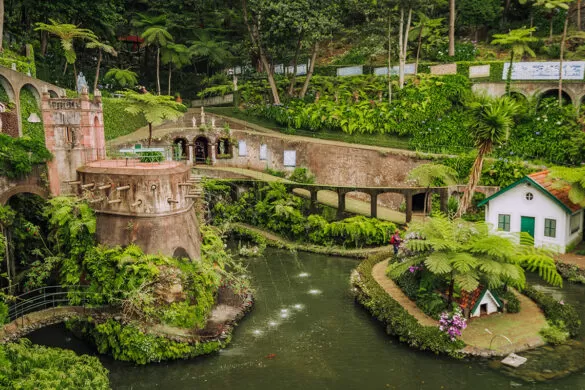 Things to do in Funchal Madeira - Monte Palace Tropical Garden - Lake