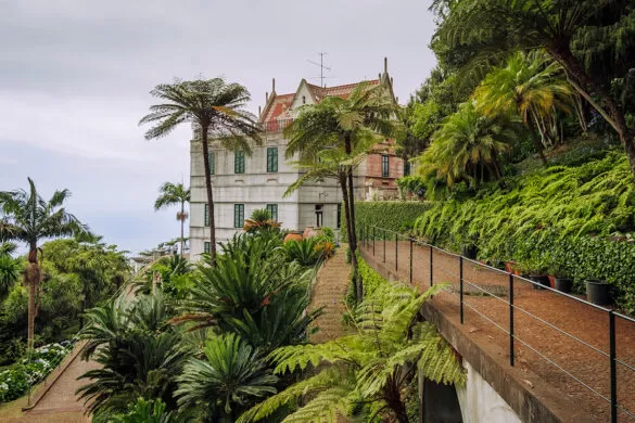 Things to do in Funchal Madeira - Monte Palace Tropical Garden - Monte Palace Hotel