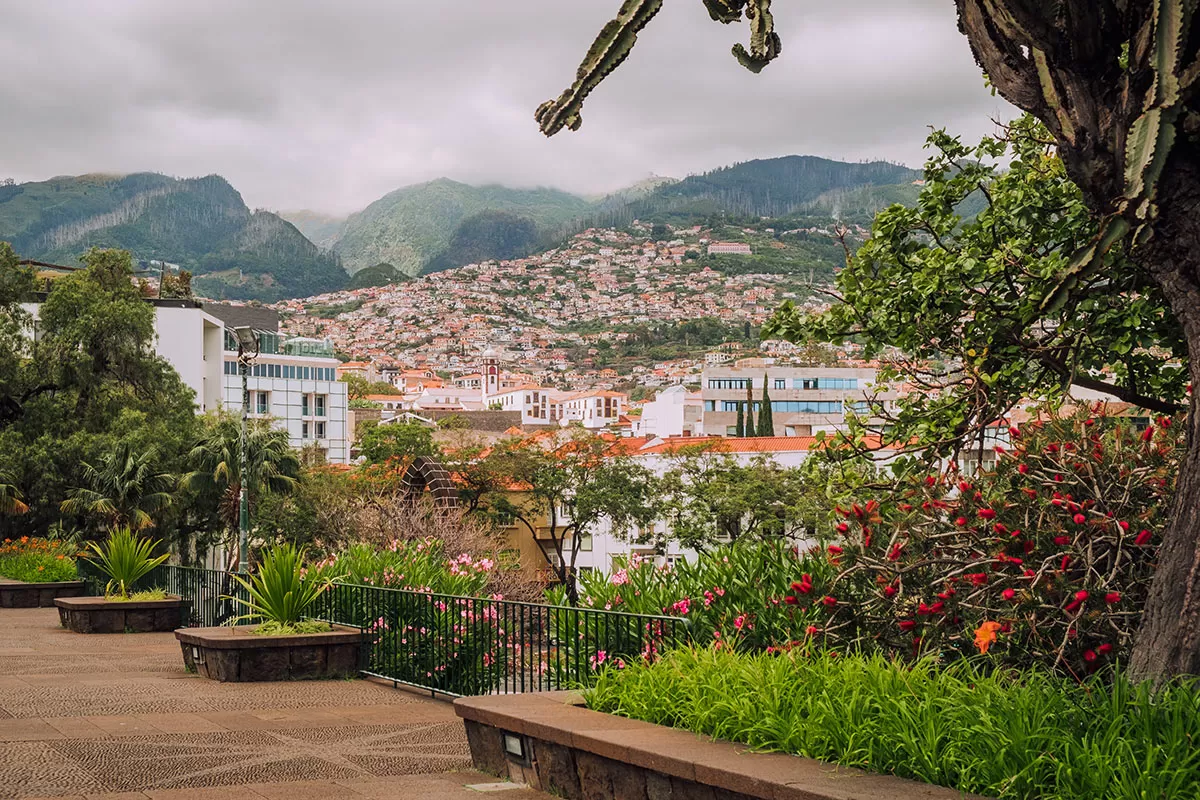 Things to do in Funchal Madeira - View of Funchal city from Santa Catarina Park