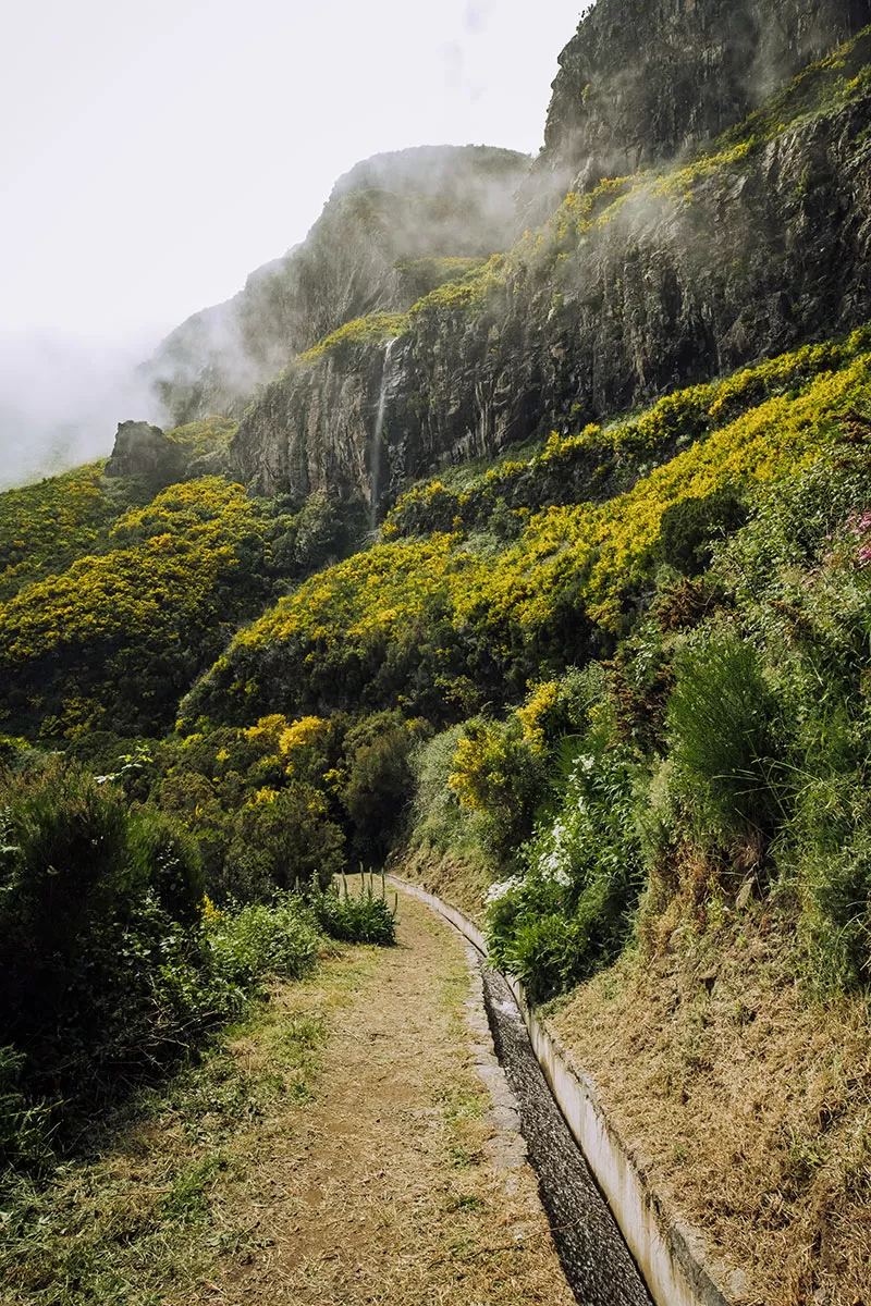 Things to do in Madeira - Levada