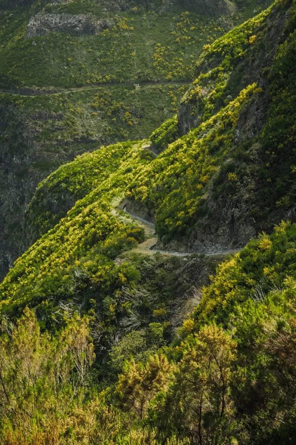 Things to do in Madeira - PR17 Trail start - Caminho do Pinaculo e Folhadal - Path