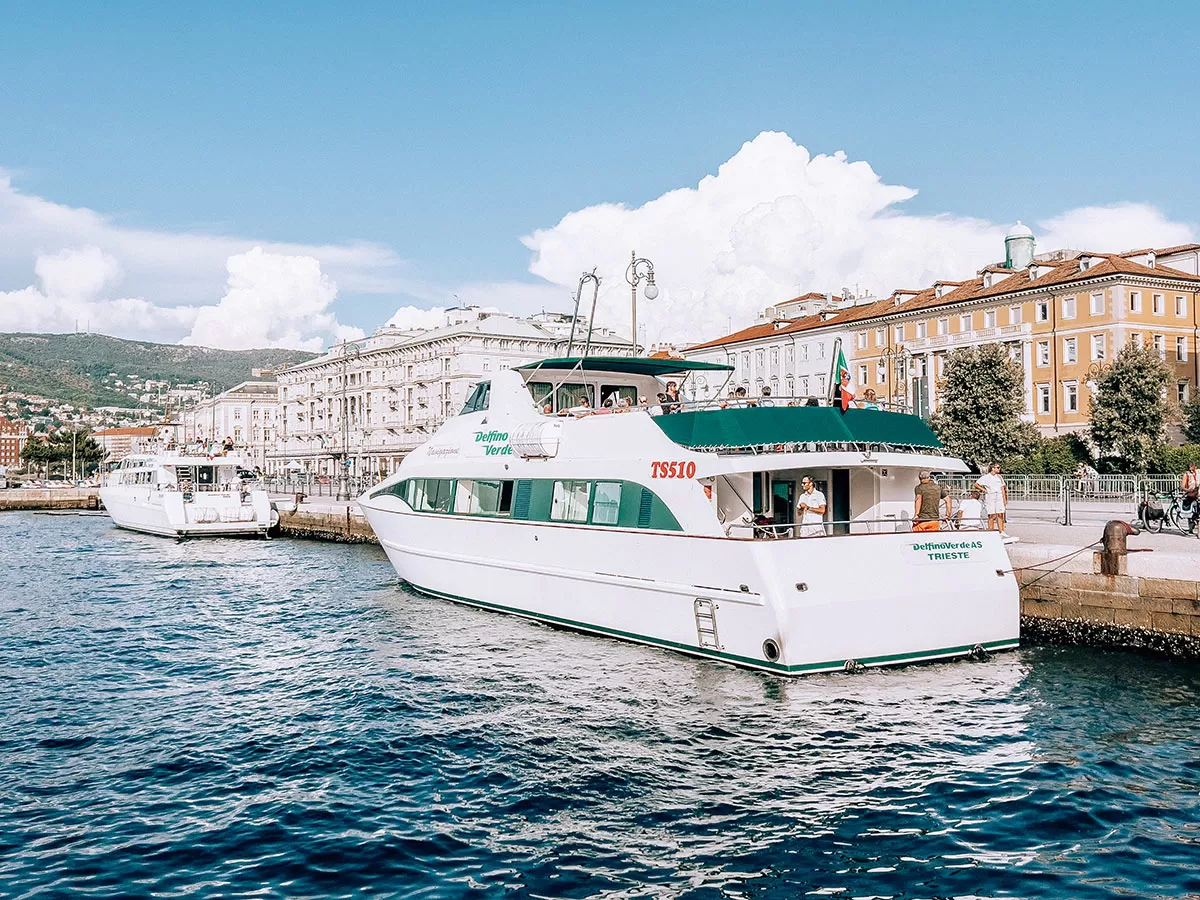 Best Things to Do in Trieste Italy - Delfino verde
