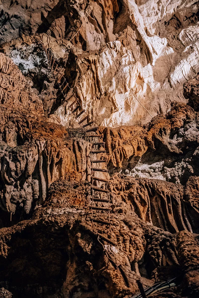 Best Things to Do in Trieste Italy - Grotta Gigante - Ladder
